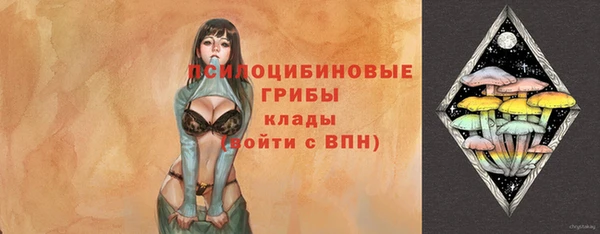 ГАЛЛЮЦИНОГЕННЫЕ ГРИБЫ Белокуриха