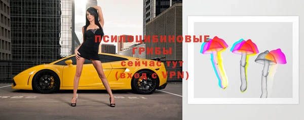 ГАЛЛЮЦИНОГЕННЫЕ ГРИБЫ Белокуриха