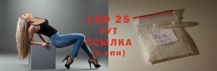 ГАЛЛЮЦИНОГЕННЫЕ ГРИБЫ Белокуриха