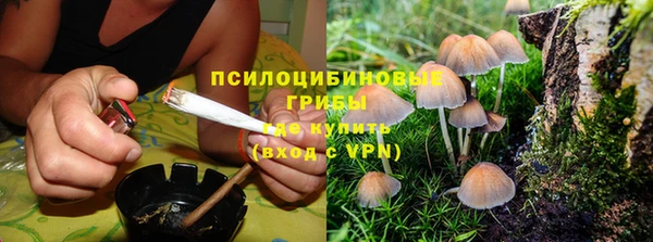 амф Беломорск