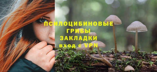 ECSTASY Белоозёрский