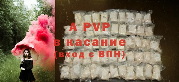 ГАЛЛЮЦИНОГЕННЫЕ ГРИБЫ Белокуриха