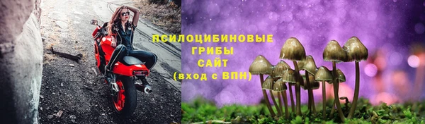 ГАЛЛЮЦИНОГЕННЫЕ ГРИБЫ Белокуриха